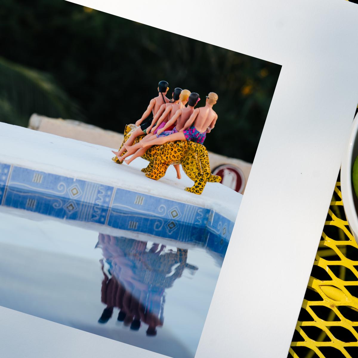 Jaguar Throne – Resort Royalty in Akumal, Mexico, Fun Home Decor Gift